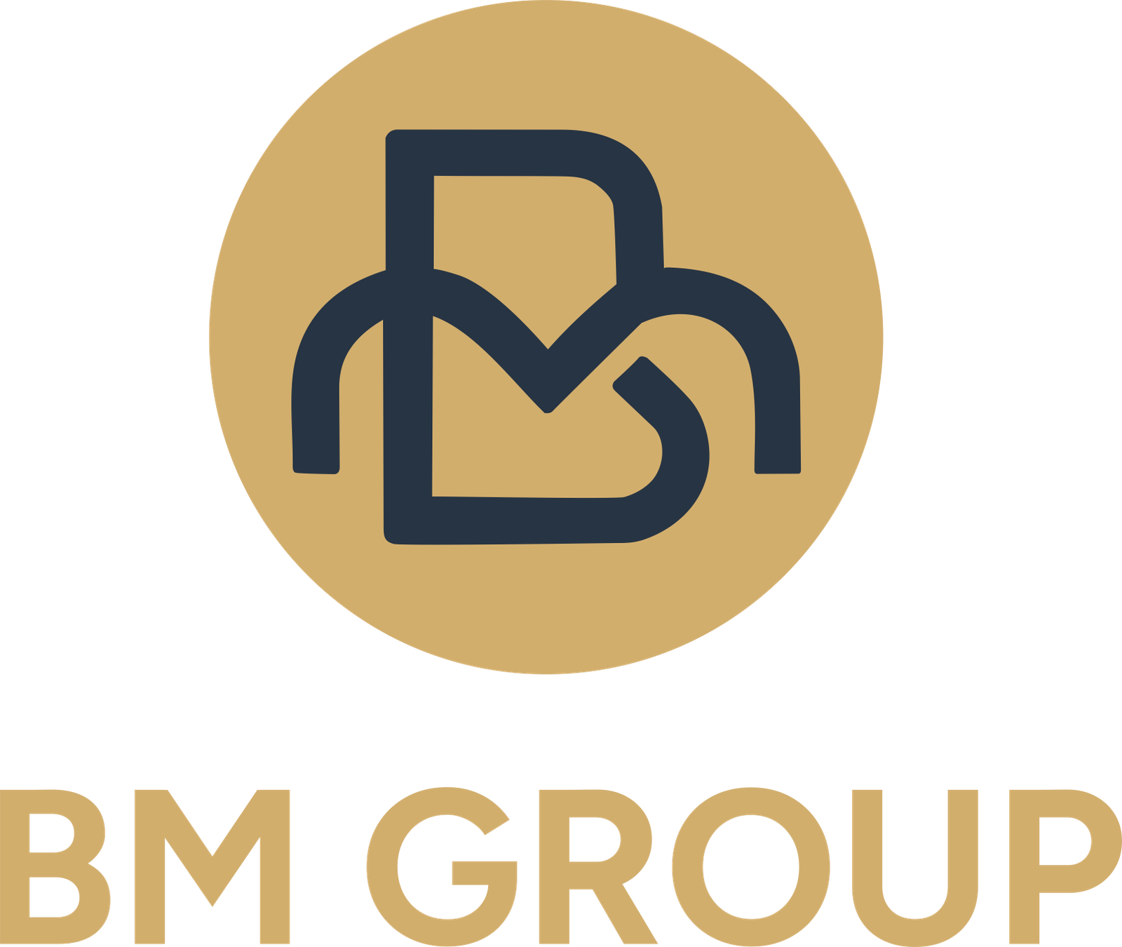 BM PULSES India