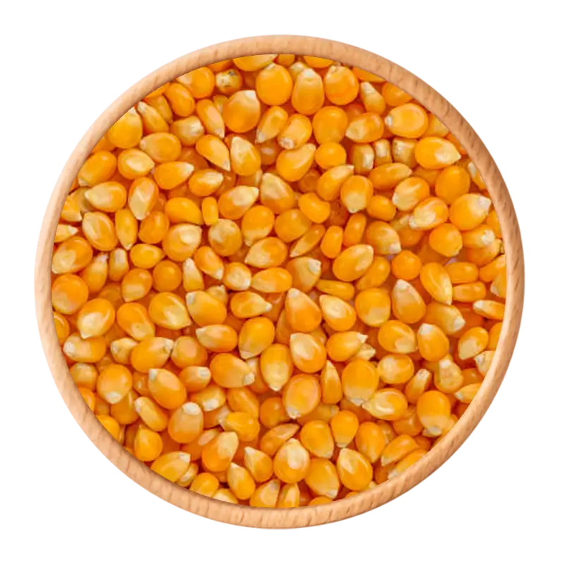 Maize