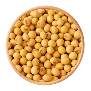 Soyabean